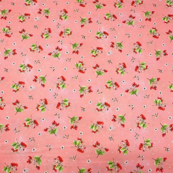 Strawberry Season Briar Hill Designs from Wishwell Cotton Fabric, Robert Kaufman ABYD-22315-301 AZALEA