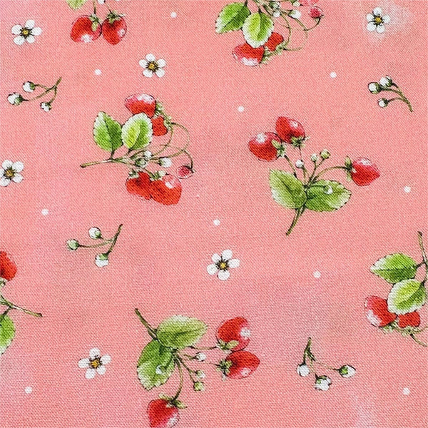 Strawberry Season Briar Hill Designs from Wishwell Cotton Fabric, Robert Kaufman ABYD-22315-301 AZALEA