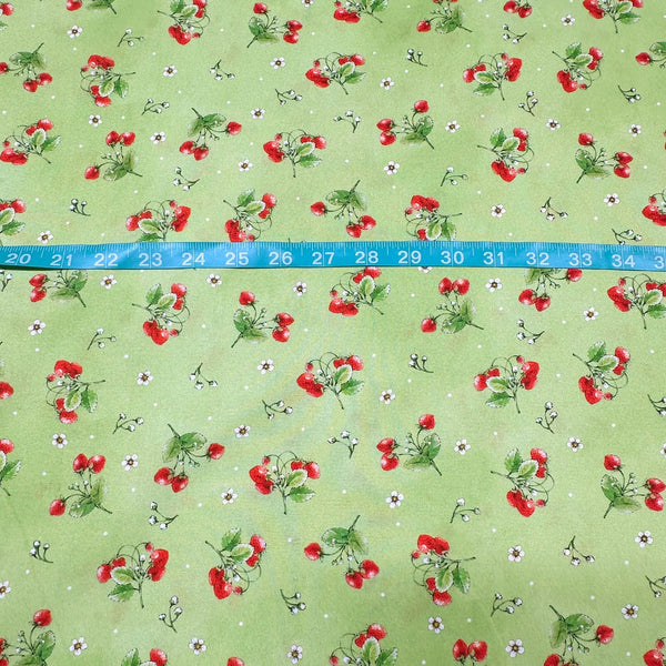 Strawberry Season Briar Hill Designs from Wishwell Cotton Fabric, Robert Kaufman ABYD-22315-55 SWEET PEA