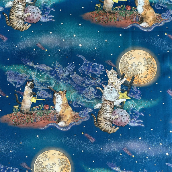 365 Cat Art Moonlight Cat cotton fabric by Kokka, style EKX-1710-1A
