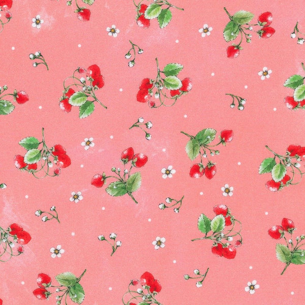 Strawberry Season Briar Hill Designs from Wishwell Cotton Fabric, Robert Kaufman ABYD-22315-301 AZALEA