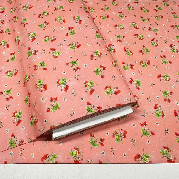 Strawberry Season Briar Hill Designs from Wishwell Cotton Fabric, Robert Kaufman ABYD-22315-301 AZALEA