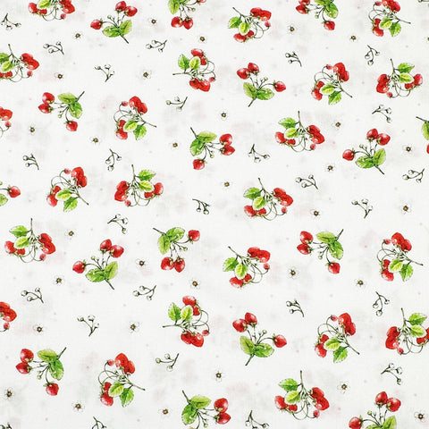 Strawberry Season Briar Hill Designs from Wishwell Cotton Fabric, Robert Kaufman ABYD-22315-1 WHITE