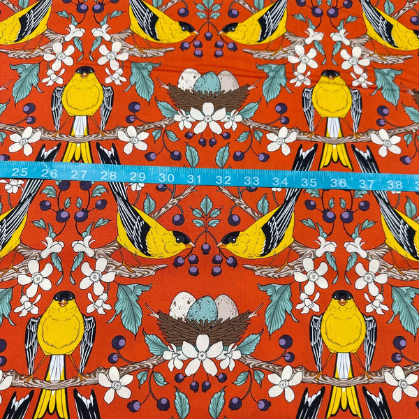 Berry Gifted Vermillion Birds of a Feather by Rachel Hauer Cotton Fabric, Free Spirit Fabrics