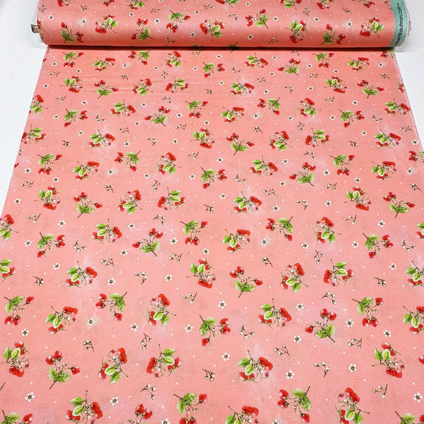 Strawberry Season Briar Hill Designs from Wishwell Cotton Fabric, Robert Kaufman ABYD-22315-301 AZALEA