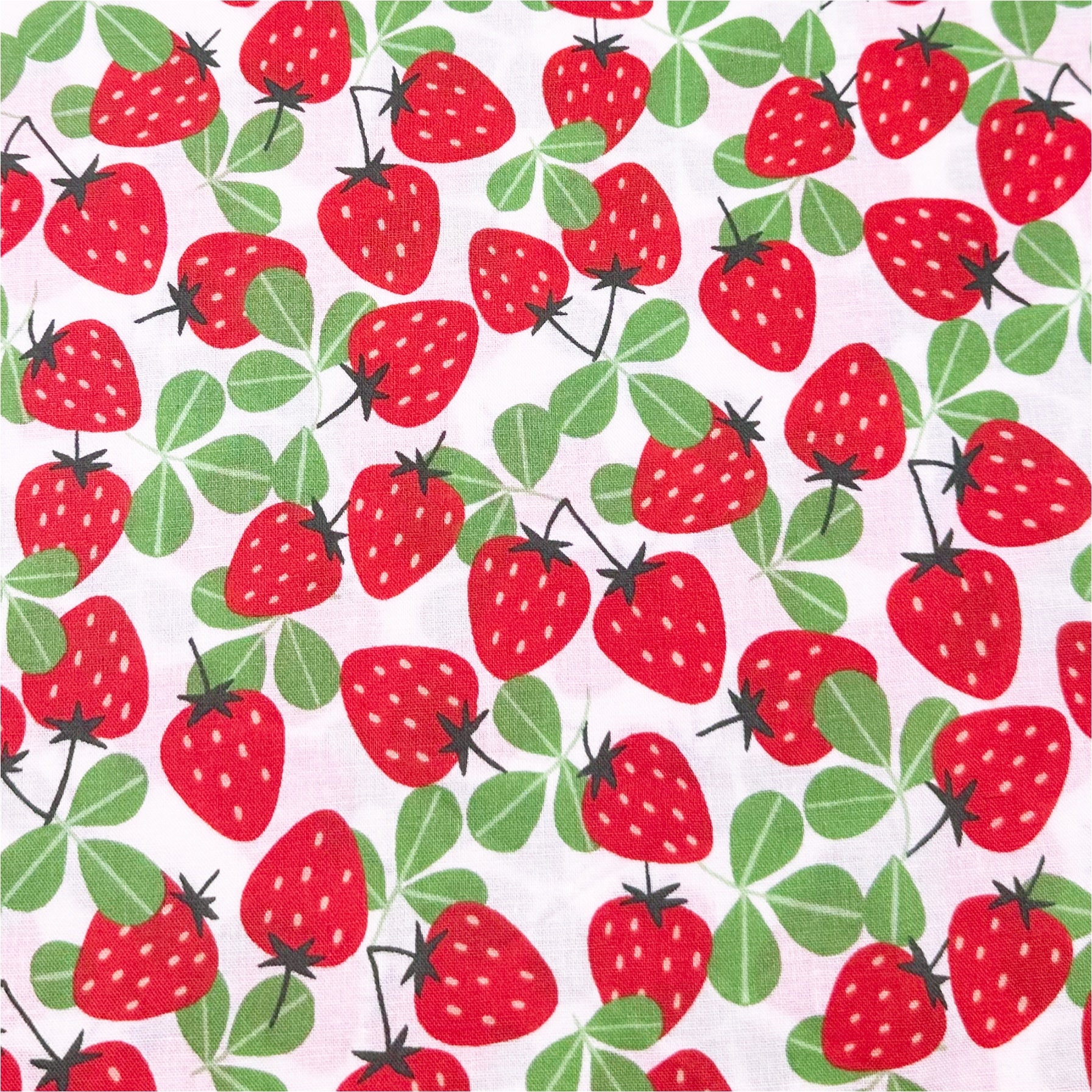 Allover Strawberry Print by Sevenberry Cotton Fabric, Imported from Japan, Red Strawberries on White