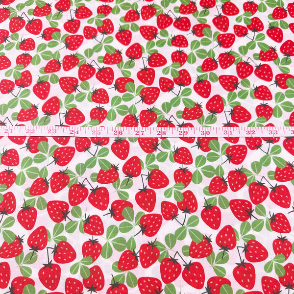 Allover Strawberry Print by Sevenberry Cotton Fabric, Imported from Japan, Red Strawberries on White