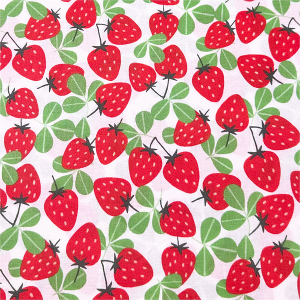 Allover Strawberry Print by Sevenberry Cotton Fabric, Imported from Japan, Red Strawberries on White