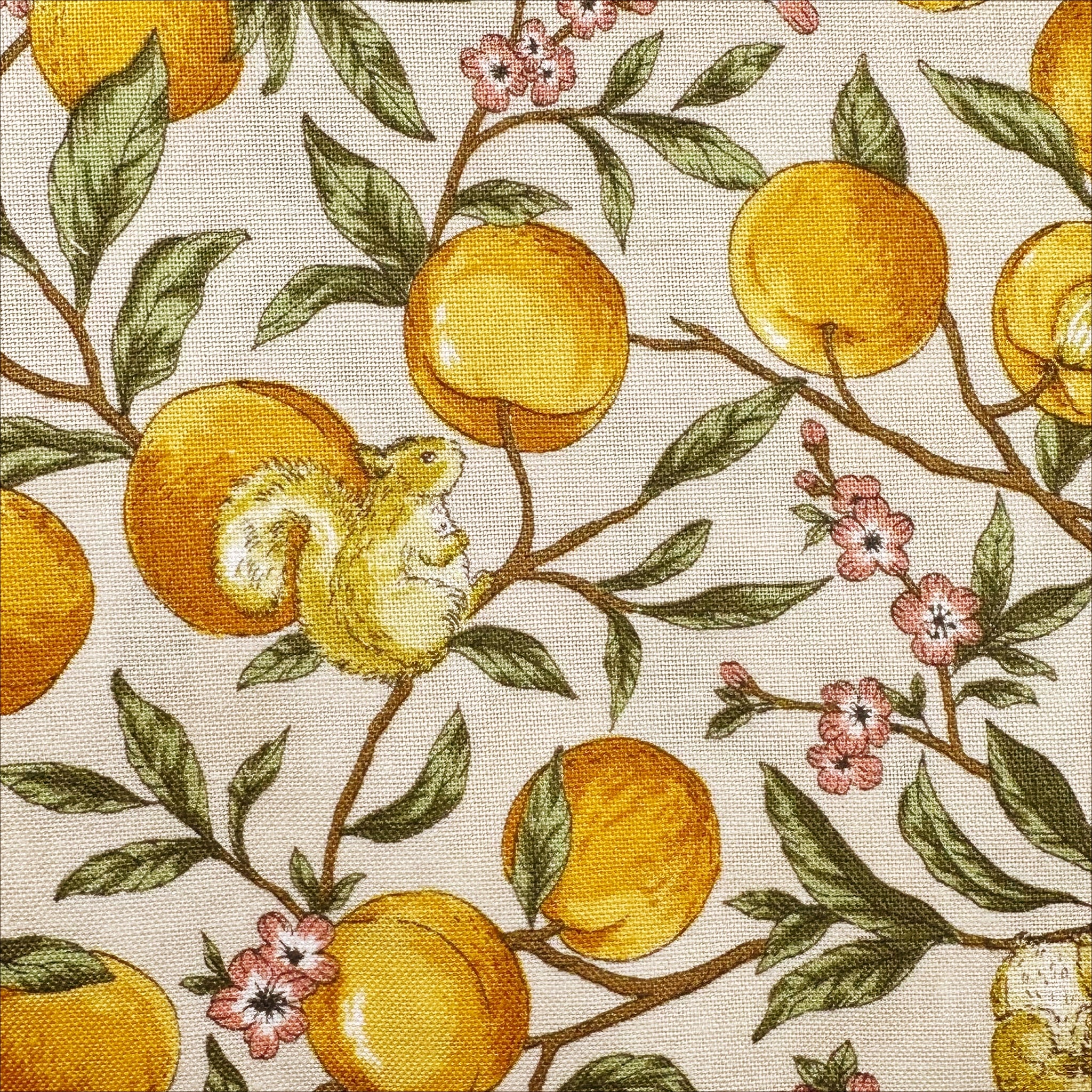 Apricots and Squirrels Cotton Fabric in Beige by Cosmo Textiles, AP55103H 1A