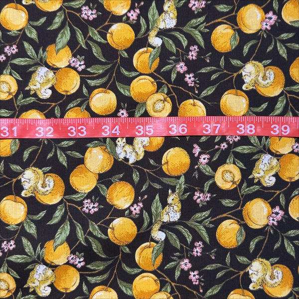 Apricots and Squirrels Cotton Fabric in Black by Cosmo Textiles, AP55103H 1E
