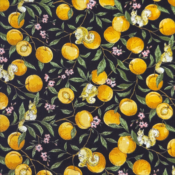 Apricots and Squirrels Cotton Fabric in Black by Cosmo Textiles, AP55103H 1E
