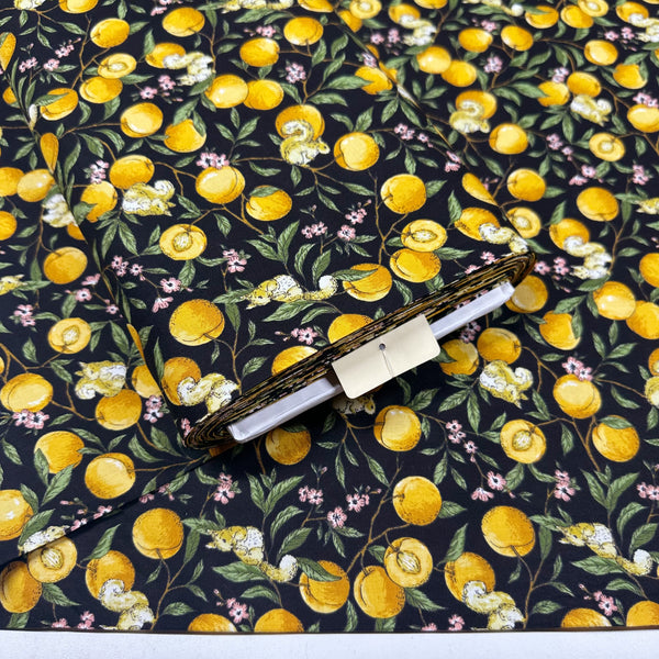 Apricots and Squirrels Cotton Fabric in Black by Cosmo Textiles, AP55103H 1E