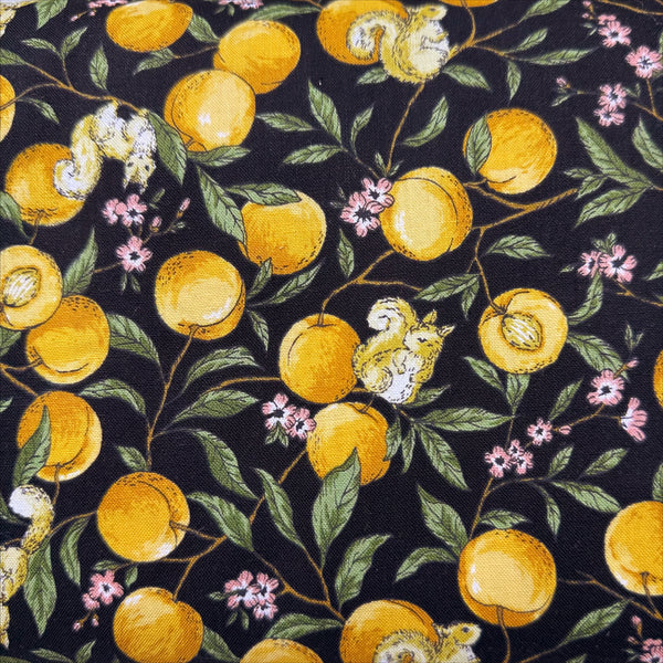 Apricots and Squirrels Cotton Fabric in Black by Cosmo Textiles, AP55103H 1E