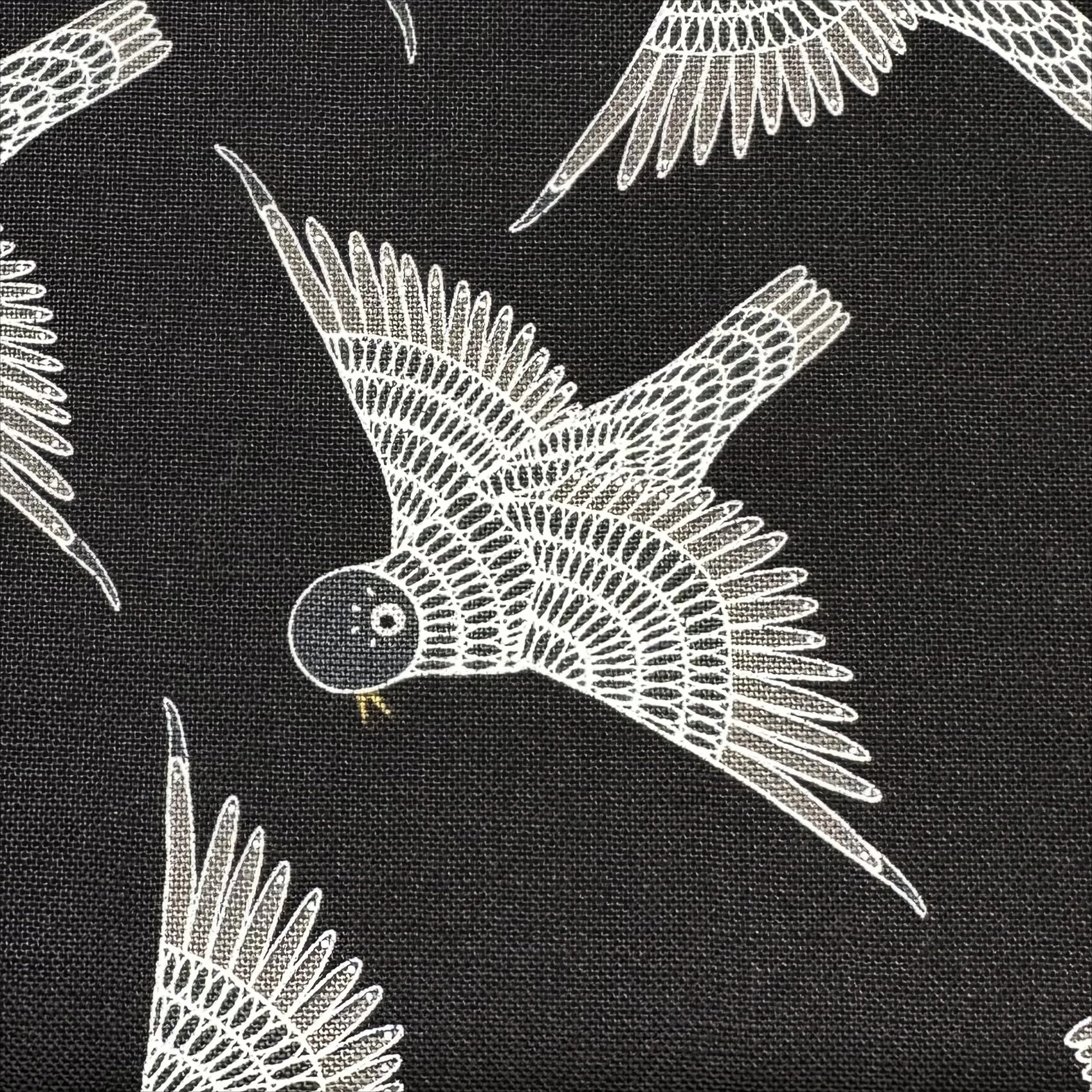 Birdsong Birds in Flight in Raven by Gingiber, Cotton Fabric 48353 17 Moda Fabrics