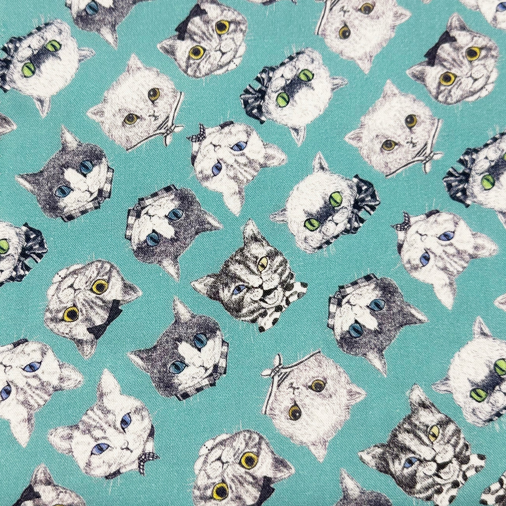 Cat Faces Cotton Fabric in Aqua by Illustrator Ringo, Imported from Japan
