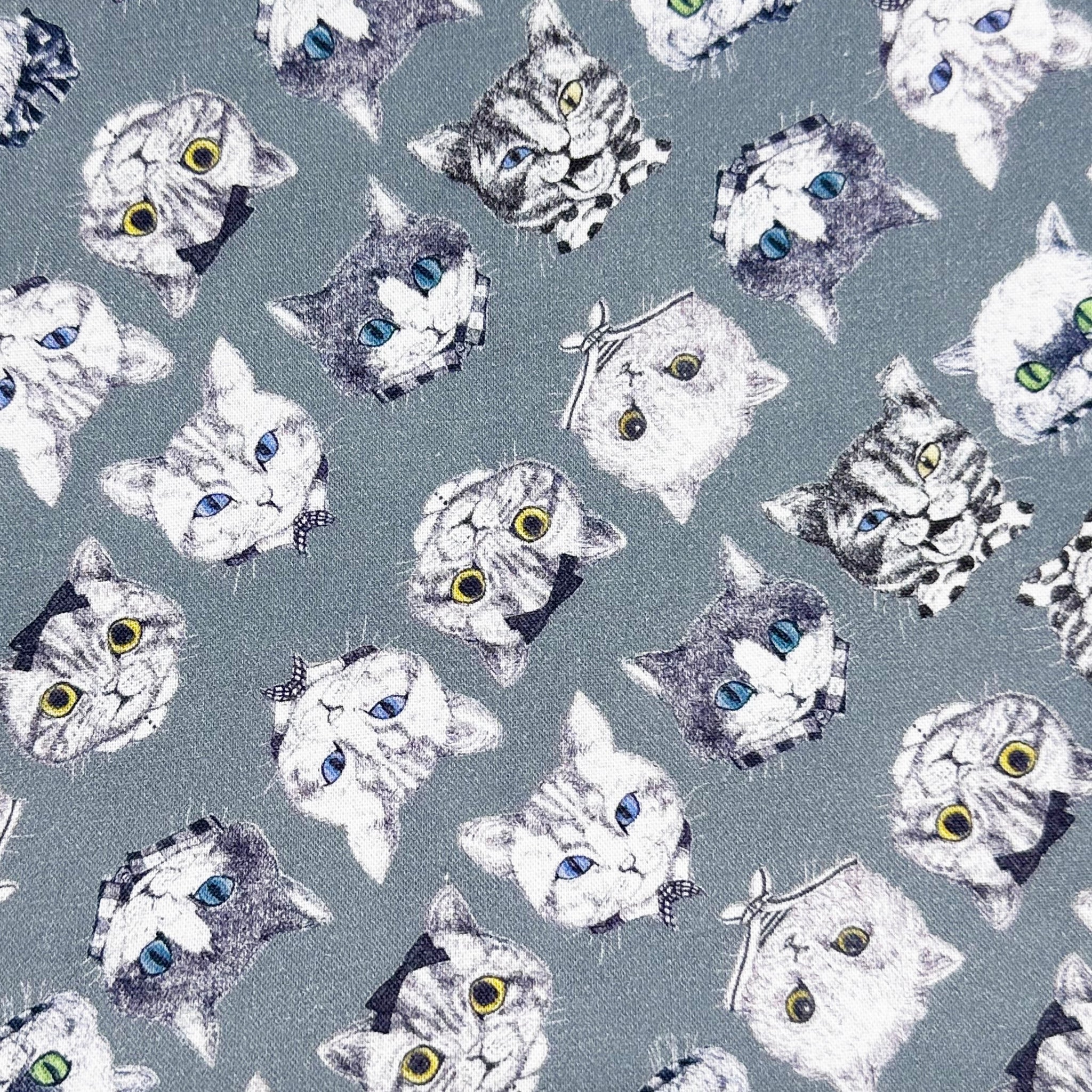 Cat Faces Cotton Fabric in Gray by Illustrator Ringo, Imported from Japan