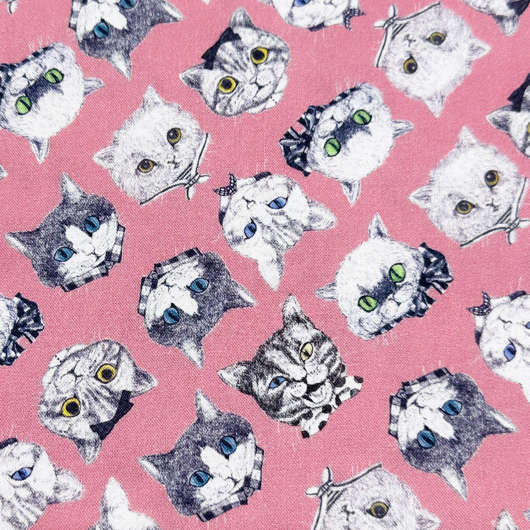 Cat Faces Cotton Fabric in Pink by Illustrator Ringo, Imported from Japan