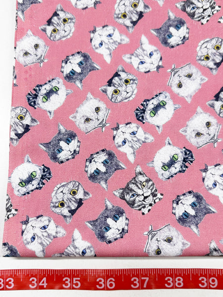 Cat Faces Cotton Fabric in Pink by Illustrator Ringo, Imported from Japan