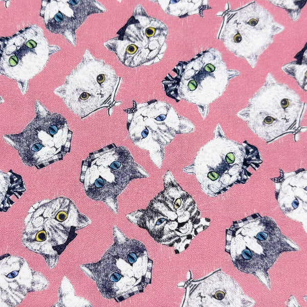 Cat Faces Cotton Fabric in Pink by Illustrator Ringo, Imported from Japan