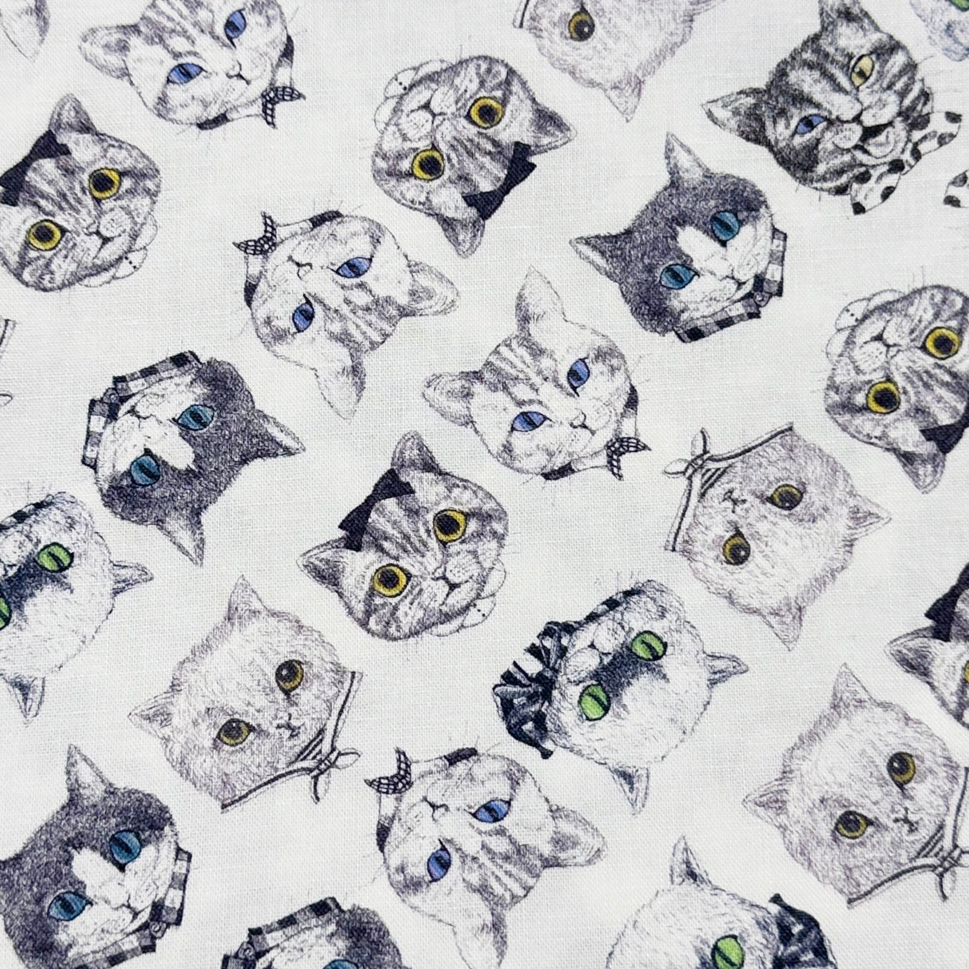 Cat Faces Cotton Fabric in White by Illustrator Ringo, Imported from Japan