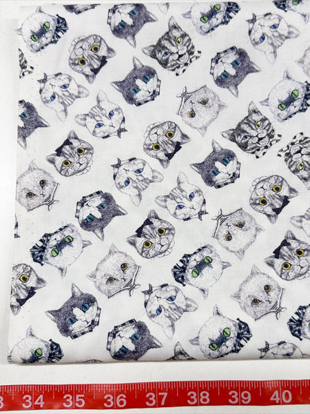 Cat Faces Cotton Fabric in White by Illustrator Ringo, Imported from Japan