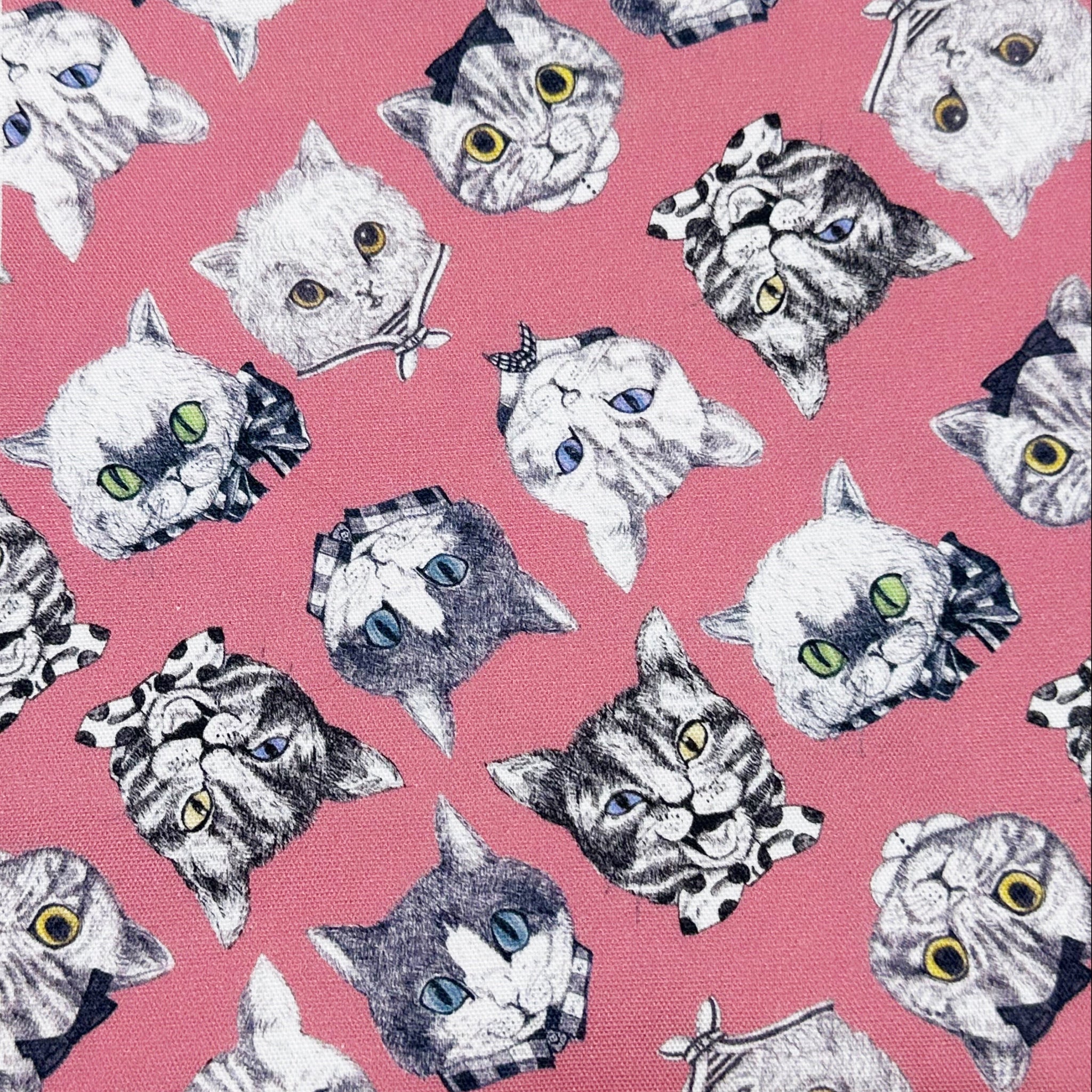 Cat Faces Cotton Oxford Fabric in Pink by Illustrator Ringo, Imported from Japan
