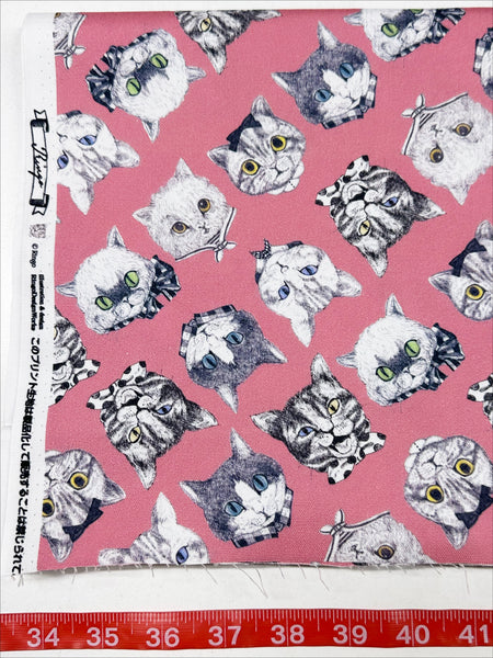 Cat Faces Cotton Oxford Fabric in Pink by Illustrator Ringo, Imported from Japan