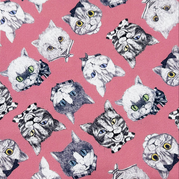 Cat Faces Cotton Oxford Fabric in Pink by Illustrator Ringo, Imported from Japan