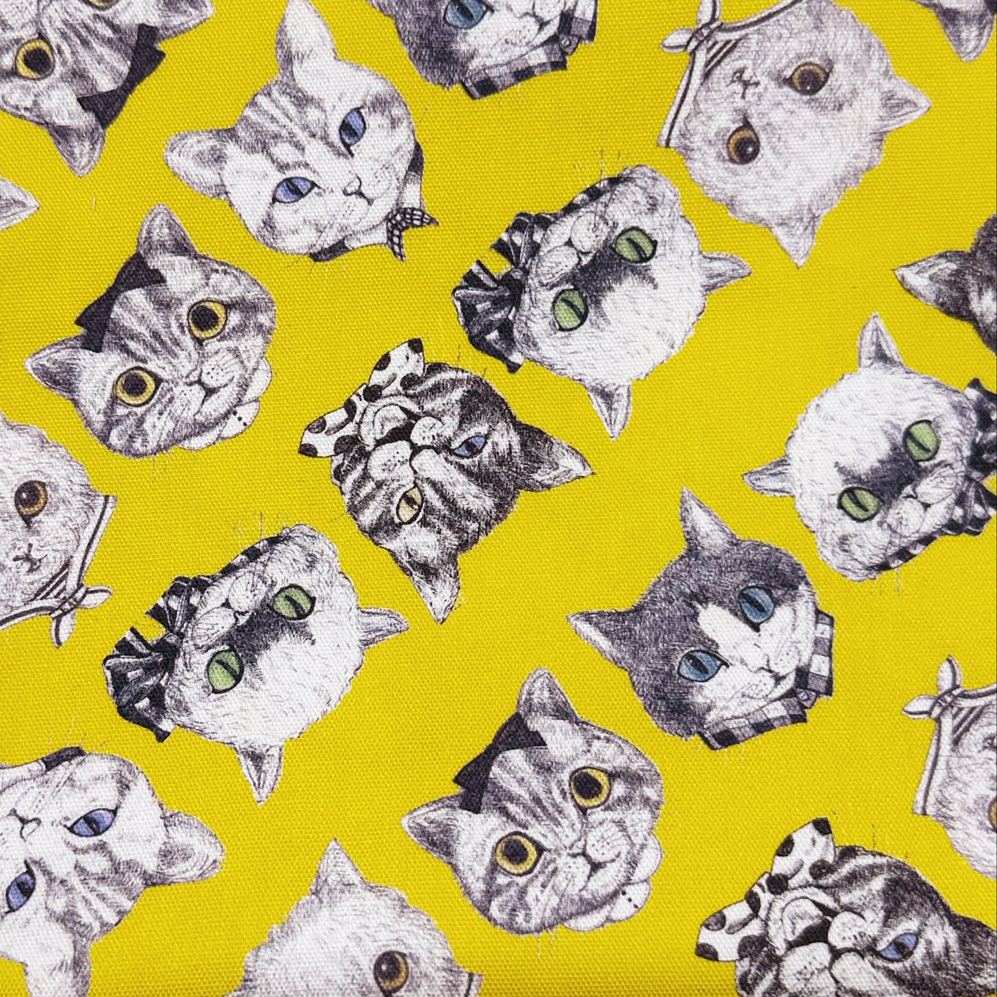 Cat Faces Cotton Oxford Fabric in Yellow by Illustrator Ringo, Imported from Japan