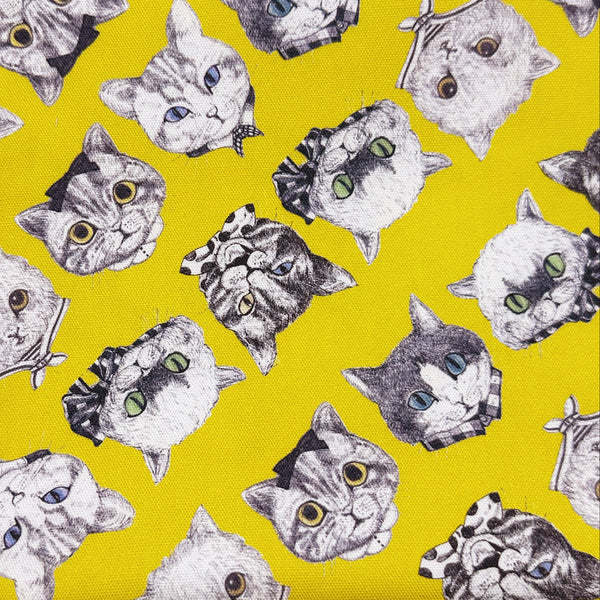 Cat Faces Cotton Oxford Fabric in Yellow by Illustrator Ringo, Imported from Japan