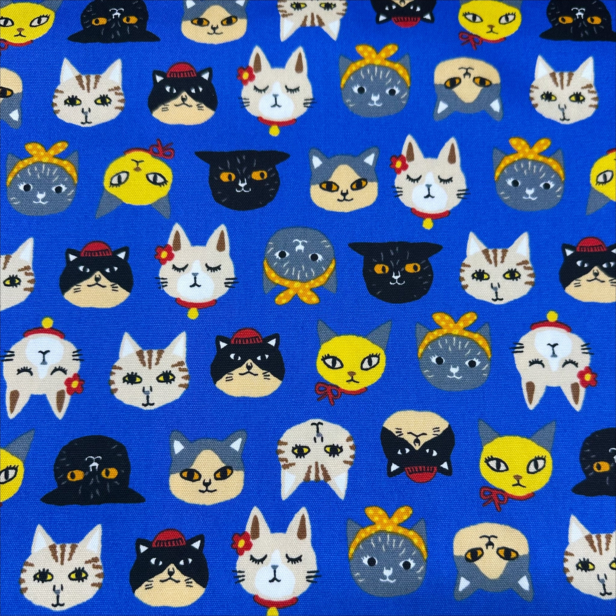 Cats by Sevenberry Cotton Oxford Fabric, Blue