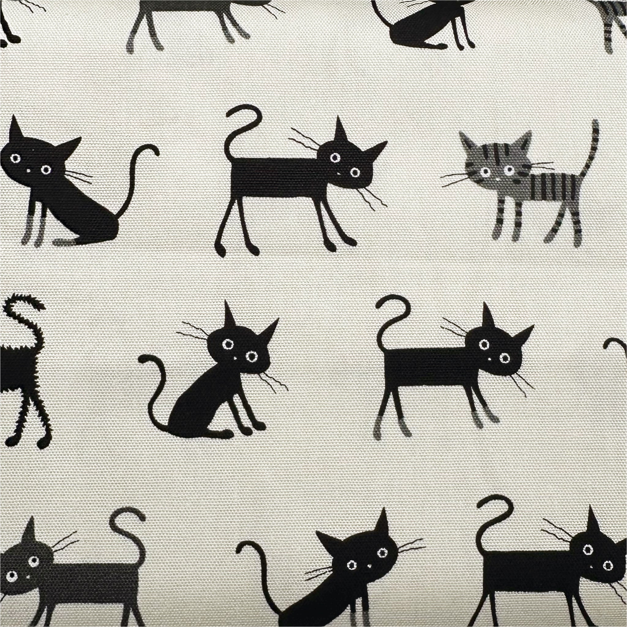 Coco Land Cats Cotton Oxford Fabric, Imported from Japan BTY, Medium Kitties Cocoland by Kisa on Natural