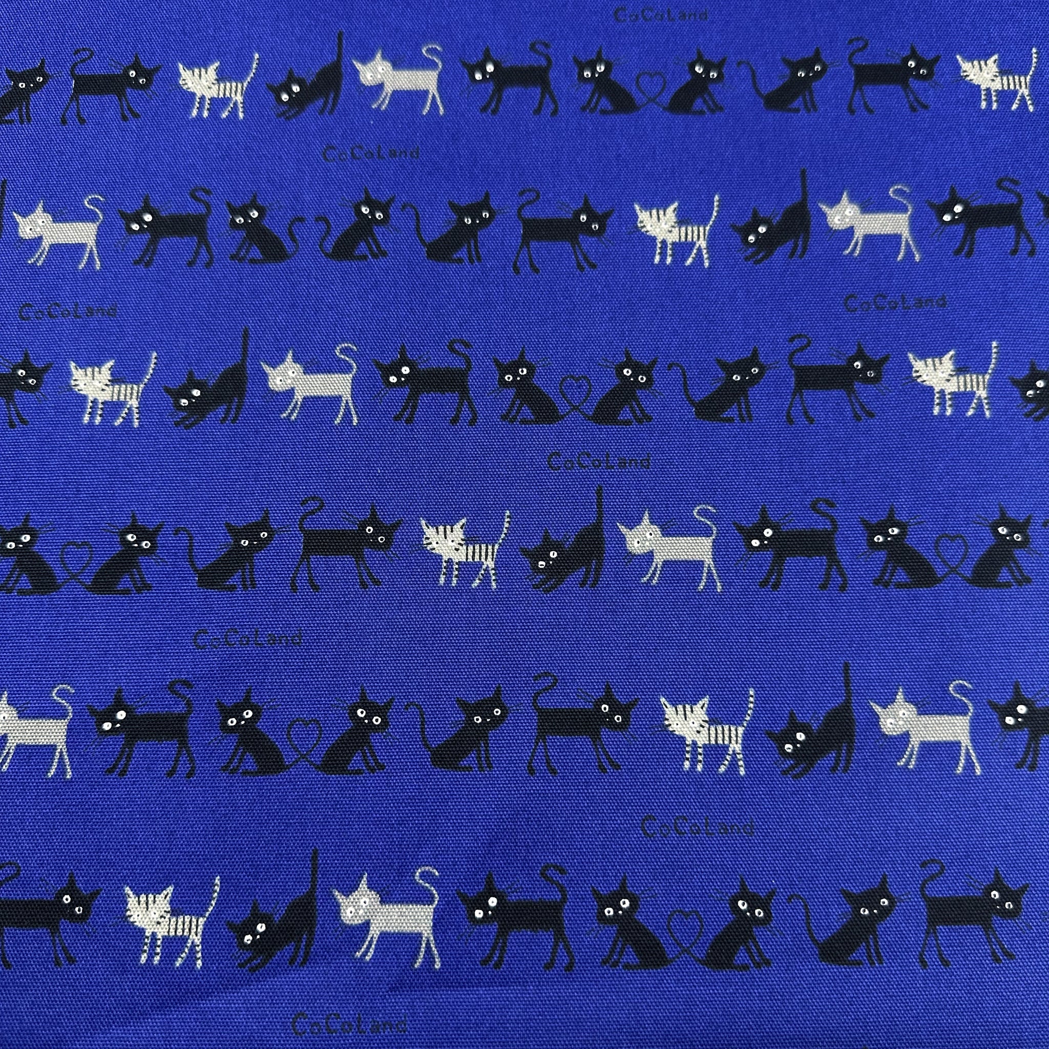 Coco Land Cats Cotton Oxford Fabric, Imported from Japan BTY, Small Kitties Cocoland by Kisa on Blue