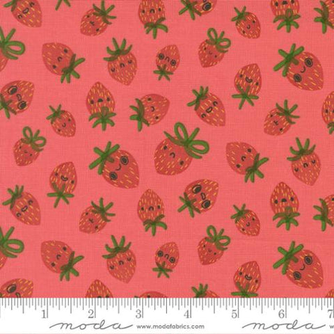 Funny Valentine Strawberries in Coral By Lizzy House, 37142 14 Moda Fabric