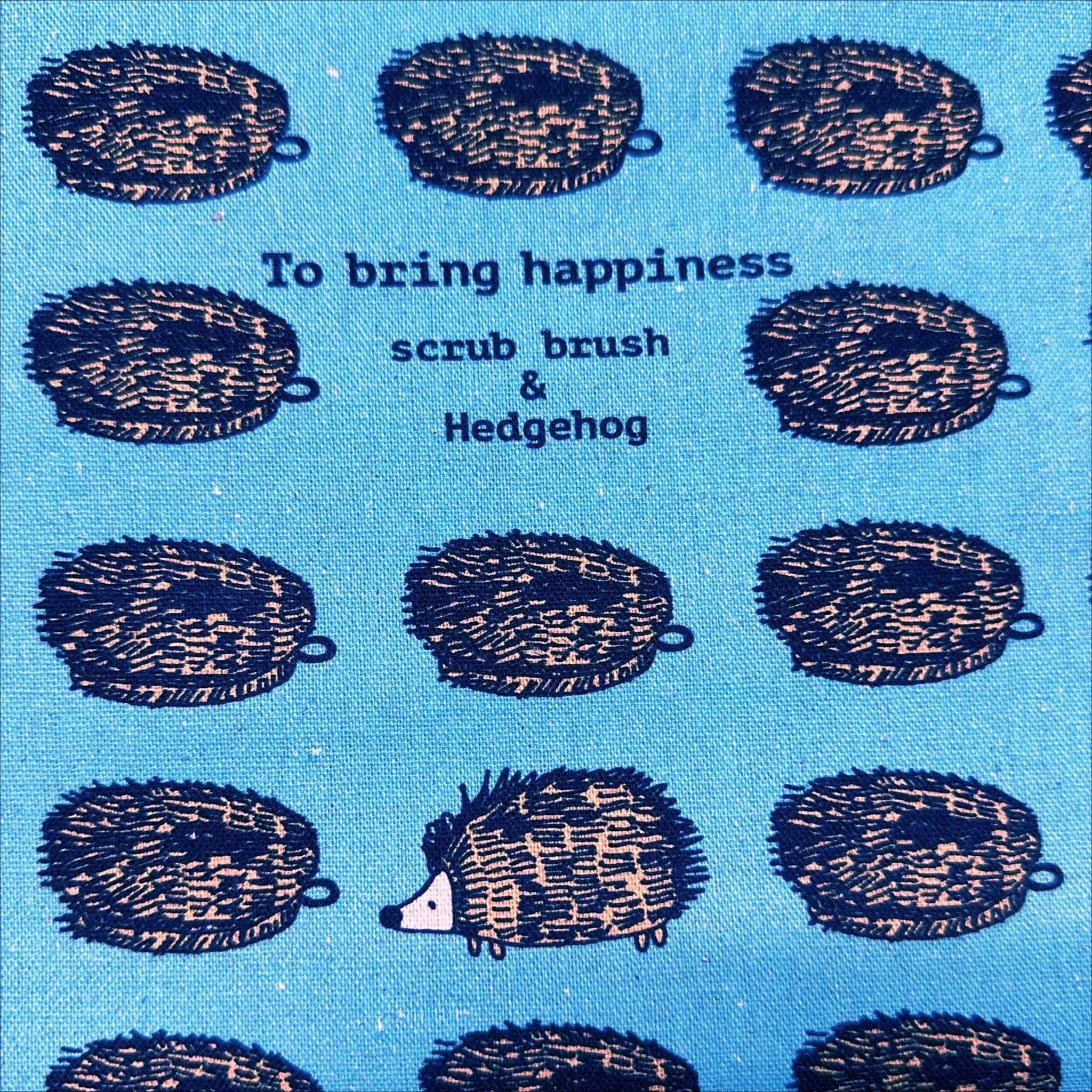 Hedgehog Scrub Brushes Canvas Fabric in Blue - Cotton Linen Blend by Cotton Kobayashi