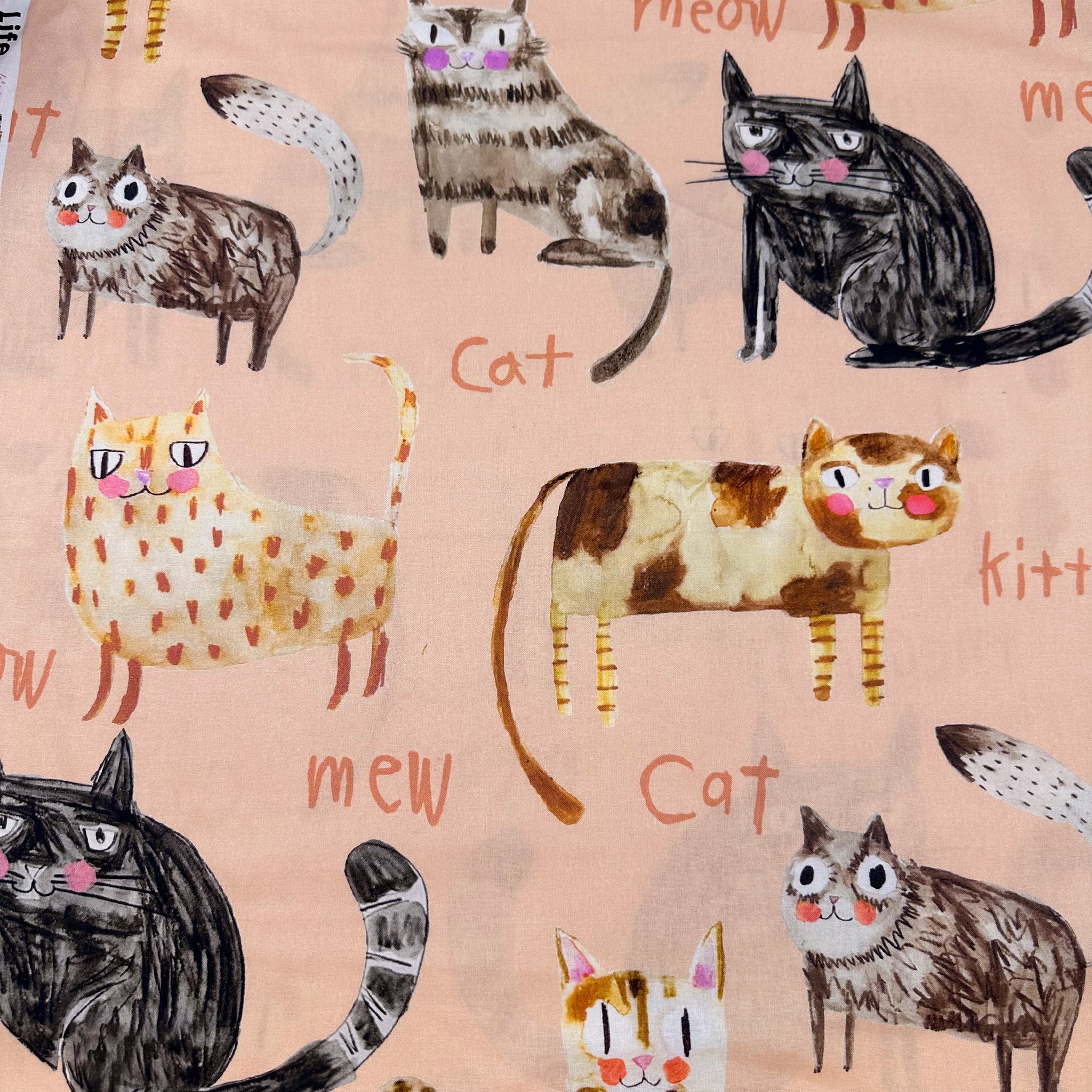 Illustrated Kitties Cats Cotton Fabric, Maison de Fabric, Imported from Japan, Peach Pink