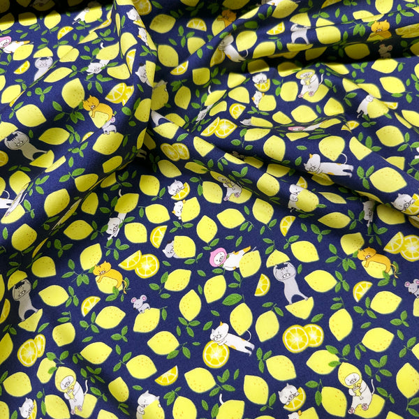Lemon Cats on Navy Broadcloth Cotton Fabric by Cotton Kobayashi