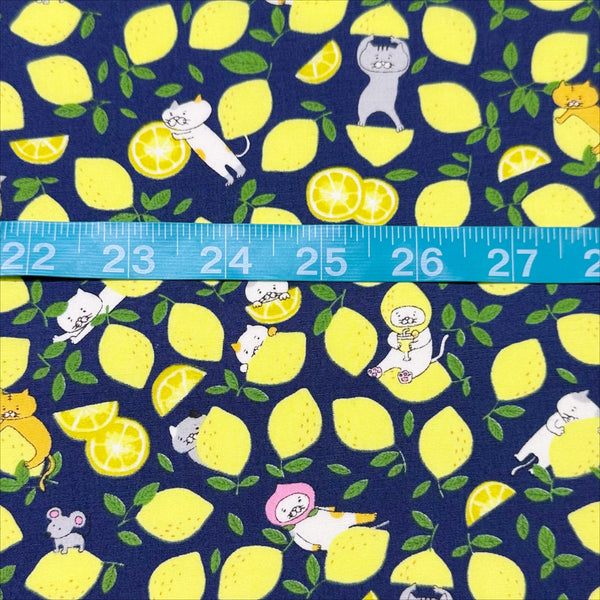 Lemon Cats on Navy Broadcloth Cotton Fabric by Cotton Kobayashi