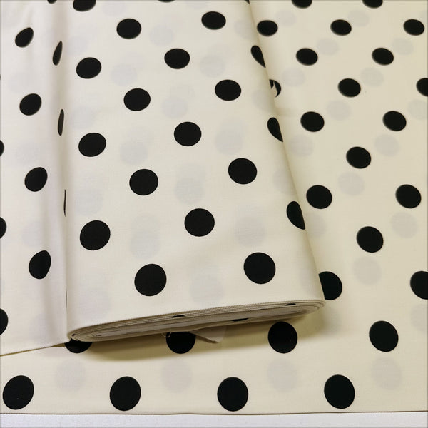 Medium Black Polka Dots on Ivory Cotton Twill fabric, Sevenberry - Imported from Japan