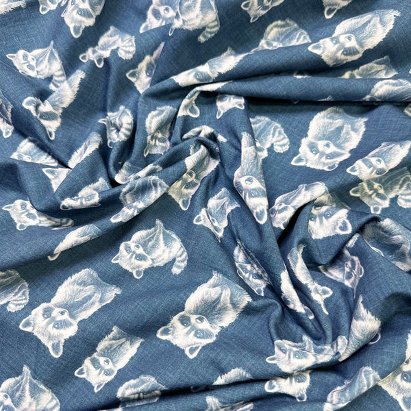 Rocky Raccoon Digital Print French Terry Knit Fabric, Imported from the Netherlands 26538-15 Teal