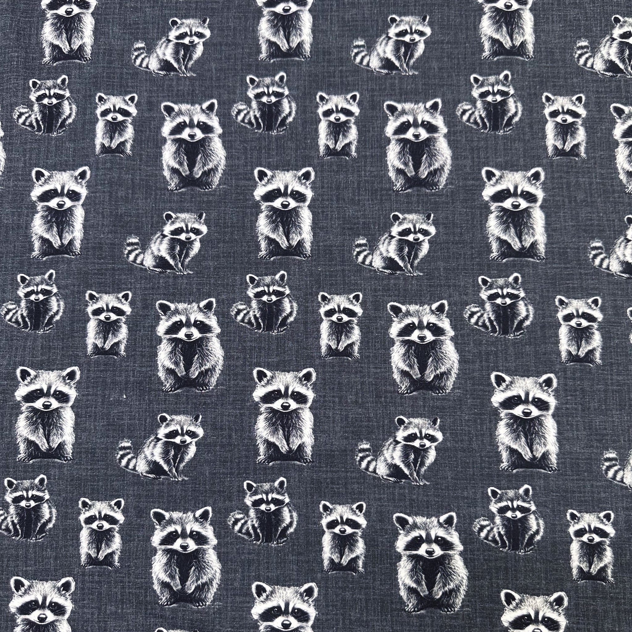Rocky Raccoon Digital Print French Terry Knit Fabric, Imported from the Netherlands 26538-16 Charcoal