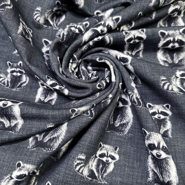 Rocky Raccoon Digital Print French Terry Knit Fabric, Imported from the Netherlands 26538-16 Charcoal