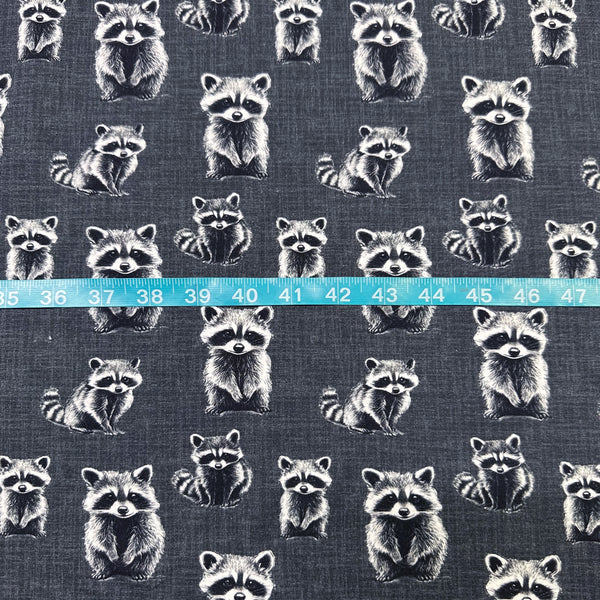 Rocky Raccoon Digital Print French Terry Knit Fabric, Imported from the Netherlands 26538-16 Charcoal