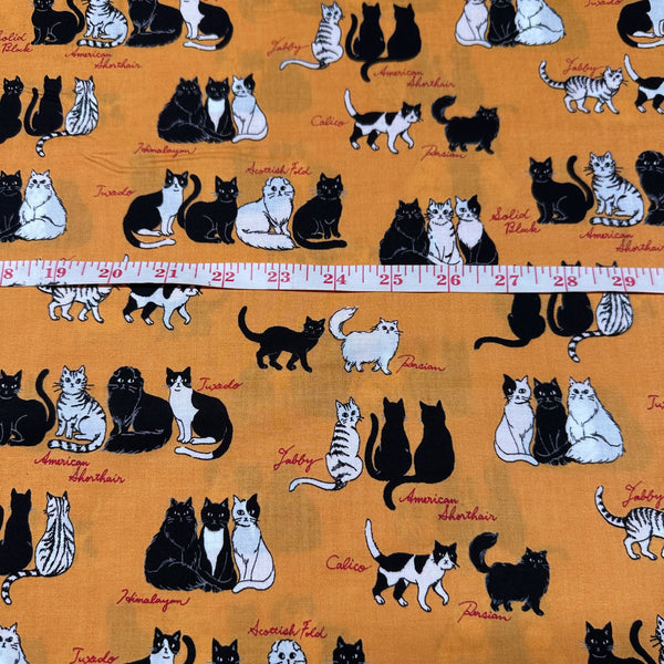 Sitting Kitties Cats Cotton Fabric by Handworks, Imported from Japan, Orange