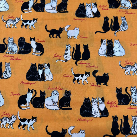 Sitting Kitties Cats Cotton Fabric by Handworks, Imported from Japan, Orange