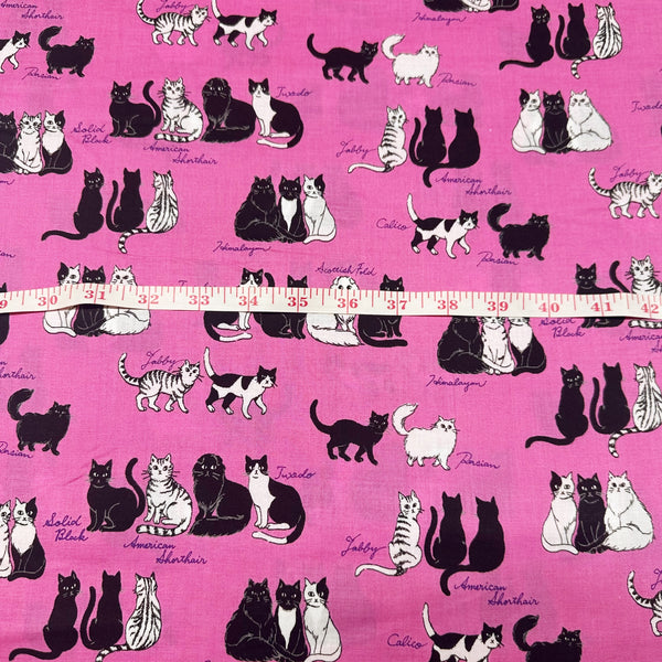 Sitting Kitties Cats Cotton Fabric by Handworks, Imported from Japan, Pink