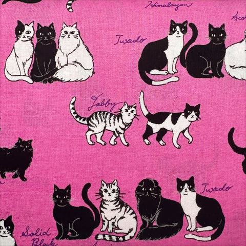 Sitting Kitties Cats Cotton Fabric by Handworks, Imported from Japan, Pink