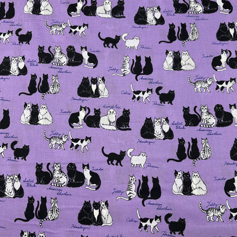 Sitting Kitties Cats Cotton Fabric by Handworks, Imported from Japan, Purple