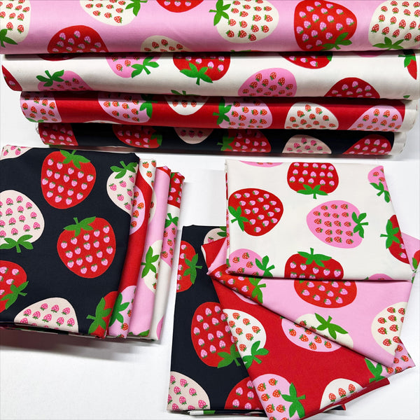 Strawberry Cotton Oxford Fabric by Koko Seki, Pink