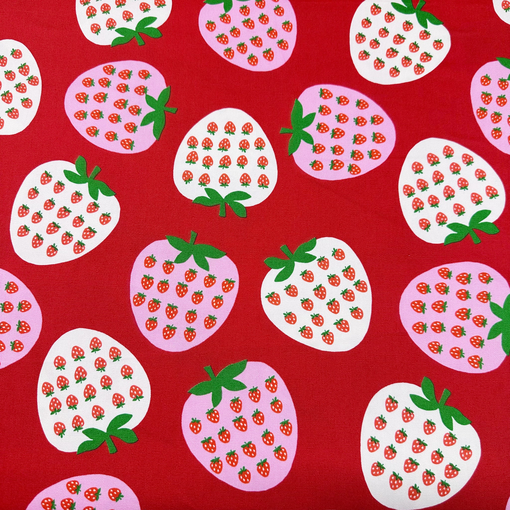 Strawberry Cotton Oxford Fabric by Koko Seki, Red